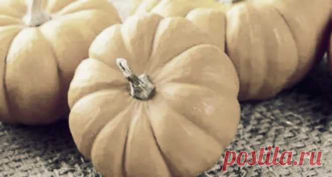 Тыква - это однолетнее растение, относящееся к семейству огуречных. В природе она встречается только в очень жарком климате.