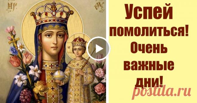 золотой петух стоит на одной ноге - Поиск в Google