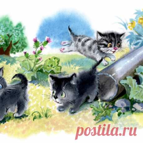 Сообщество иллюстраторов / Участники / Закревская-Аникина Наталия