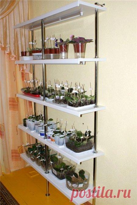 Стеллаж из подоконников ПВХ своими руками
#СтеллажИзПодоконниковПвх #СвоимиРуками