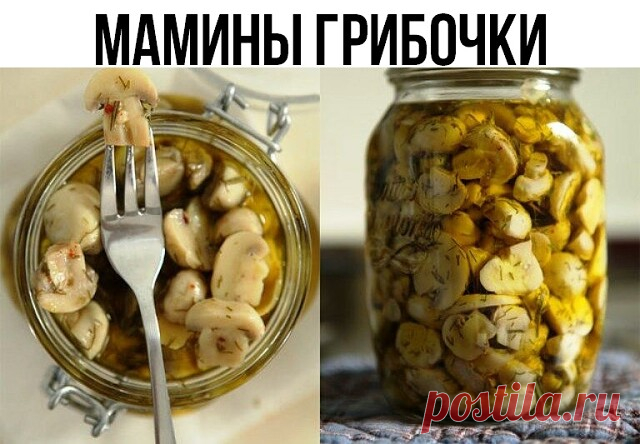 Мамины грибочки

Ингредиенты:
Шампиньоны-1-1,3кг
Вода-0,5л.
Соль-1,5 ст.л.(45г)
Сахар-1ст.л.
Лавровый лист-3шт
Гвоздика-7шт
Перец горошком-7шт
Перец душистый-7шт
Уксус(исенция) -1стл.л.

Приготовление:
1) Ставим кипятить рассол(его мы делаем из всех ингредиентов кроме шампиньонов варить с момента закипания 5 мин.)тем временем моем грибы.
2) В кипящий рассол бросаем маленькими порциями грибы их доводим до кипения и кипятим 1 мин.
3) Перекладываем в чистую посуду(так делаем ...