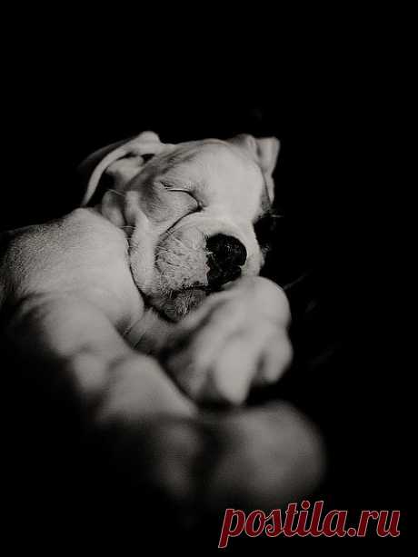 Sleep time = peace and quiet time | Flickr - Photo Sharing!
