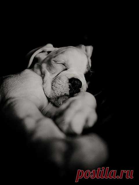 Sleep time = peace and quiet time | Flickr - Photo Sharing!