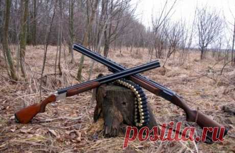 И ты опять, поднявшись до зари, Протрешь еще раз старую двустволку, В рюкзак уложишь соль и сухари И, не будя домашних, втихомолку, Уйдешь, чтоб мокнуть в утренней росе, За сучья елей задевать стволами И на заросшей тальником косе Часами наблюдать за чучелами.