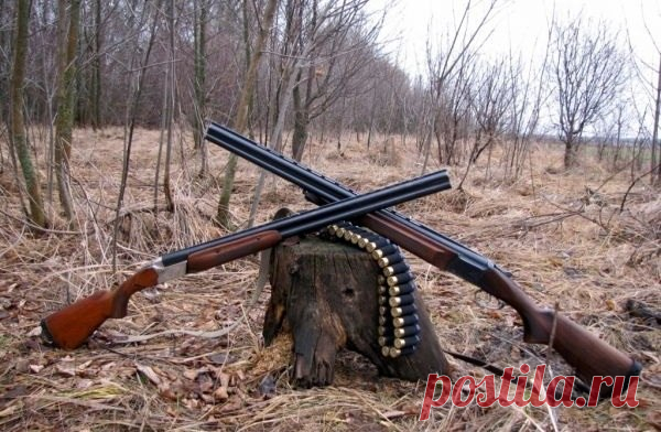 И ты опять, поднявшись до зари, Протрешь еще раз старую двустволку, В рюкзак уложишь соль и сухари И, не будя домашних, втихомолку, Уйдешь, чтоб мокнуть в утренней росе, За сучья елей задевать стволами И на заросшей тальником косе Часами наблюдать за чучелами.