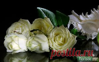 rose reflection images: 17 thousand images found in Yandeks.Kartinki