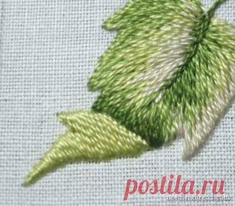 Long &amp; Short Stitch Shading Lessons on