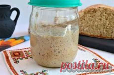 ЗАКВАСКА ИЗ РЖАНОЙ МУКИ
