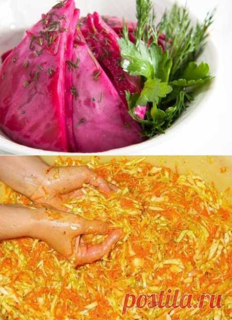 Квасим капусту ! Самые лучшие рецепты