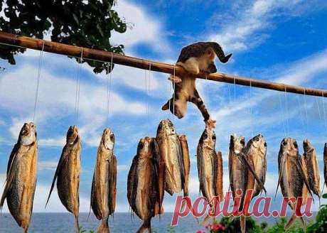 Поиграй со мной.