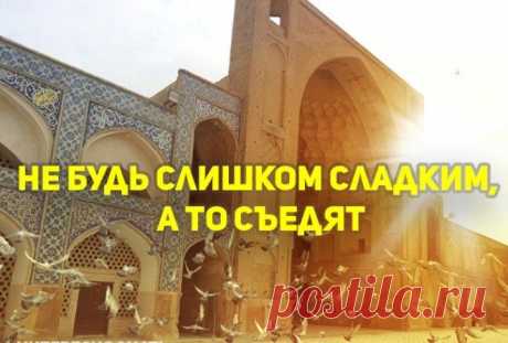 МУДРОСТИ УШЕДШИХ ЦИВИЛИЗАЦИЙ, КОТОРЫЕ ПРИМЕНИМЫ И В НАШИ ДНИ Пословицы и поговорки