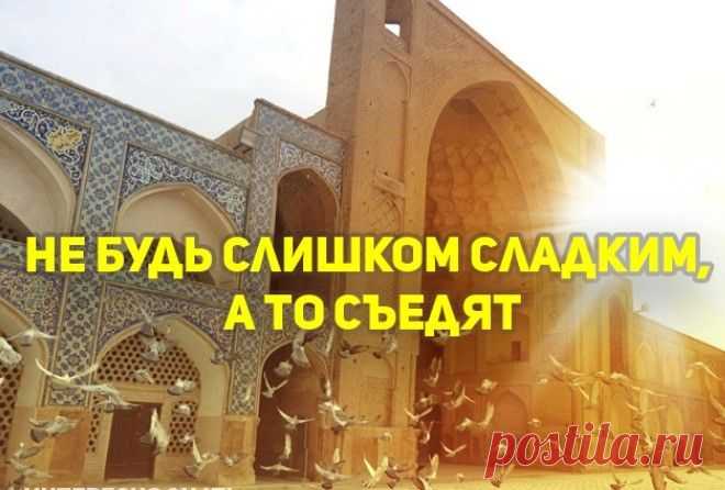 МУДРОСТИ УШЕДШИХ ЦИВИЛИЗАЦИЙ, КОТОРЫЕ ПРИМЕНИМЫ И В НАШИ ДНИ Пословицы и поговорки