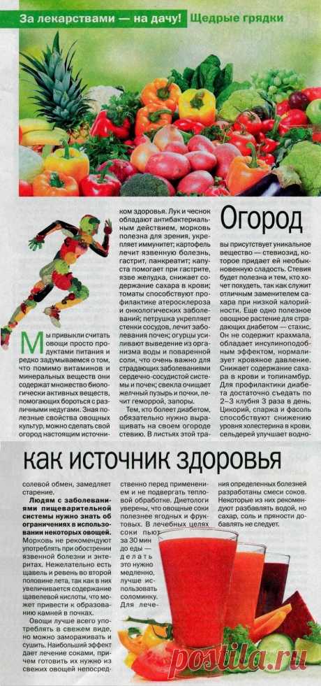 Огород как источник здоровья