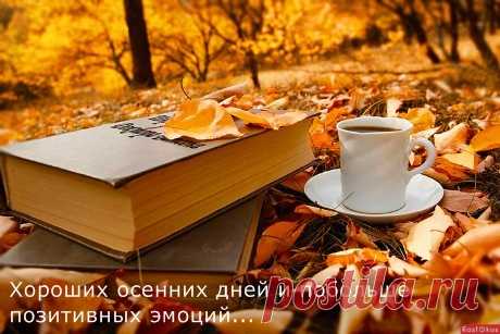 Евгений Александрович Евтушенко . « Мы в мире все неповторимы…»
