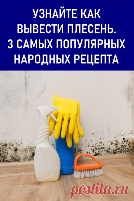 Узнайте, как вывести плесень. 3 самых популярных народных рецепта. Вы обнаружили плесень на стенах или других поверхностях? Дом выглядит не эстетично, и в нем пахнет затхлостью? А вы не хотите вдыхать вредные споры грибков плесени. В нашей статье вы найдете рекомендации и советы как вывести домашнюю плесень. #мойдом #плесень #каквывестиплесень