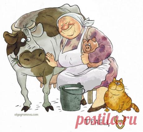 Бабушки на открытках Ольги Громовой и Инге Лёёк заражают оптимизмом и задором