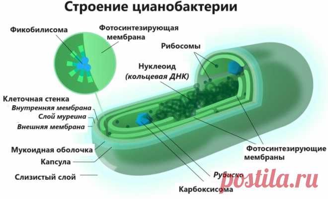 TJTy9ZNIvOQ.jpg (1033×628)
