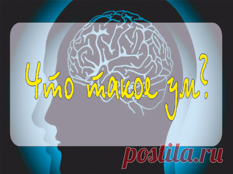 Сказ про нас