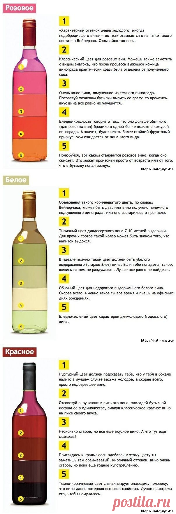 А что Вы знаете о вине?
