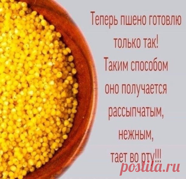 СЕКРЕТЫ ПРИГОТОВЛЕНИЯ ПШЕННОЙ КАШИ



Что нам нужно:

1 стакан пшенной крупы

3 стакана воды

50 г сливочного масла

сахар

соль



СЕКРЕТЫ:

Секрет № 1. Крупа имеет масла и пыль, которые оседают в выемках каждой крупинки и склеивают крупинки при варке. Наша задача избавиться от этих масел и крупяной пыли. Как же это сделать? Нужно промыть крупу кипятком. Как делаю я? Насыпаю 1 стакан крупы в кастрюльку и наливаю 1 стакан воды. Довожу до кипения. Выливаю крупу с кипятком в...