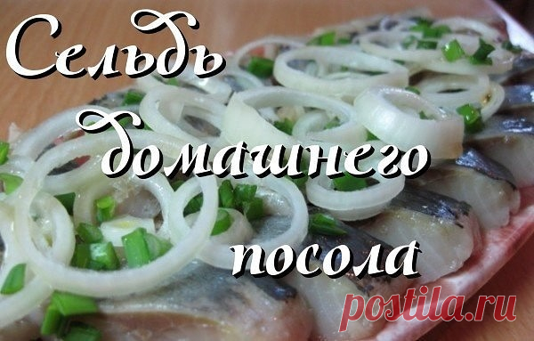 Сельдь домашнего посола(5 вариантов маринада)

Рыбу надо покупать с толстой спинкой (жирную). Если она замороженная, то перед засолом следует полностью разморозить. И лучше не мыть.

А теперь несколько рецептов:

Рассол 1:
●вода кипяченая (1 стакан),
●масло растительное — 3 ст. л.,
●перец горошком черный,
●лавровый листик или несколько,
●соль по вкусу.

Это все закипятить, охладить и добавить немного уксуса. Положить сельдь, прикрыть плотно крышкой и выдержать в комнате 4—...