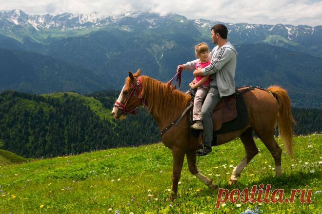 Конные прогулки на Красной поляне.  |  Лето на курорте «Роза Хутор»  |  Россия