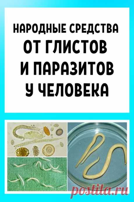 ТИБЕТСКИЙ СБОР
ОТ ПАРАЗИТОВ
ЗНАКОМЫ ЛИ ВАМ ЭТИ СИМПТОМЫ?
 Аллергия (высыпания, слезящиеся
глаза, насморк)
Частые простуды, ангина,
заложенность носа
Хроническая усталость (Вы быстро
устаете, чем бы ни занимались)
Частые головные боли,
запоры или понос
Боли в суставах и мышцах
Нервозность, нарушение
сна и аппетита
Темные круги, мешки под глазами