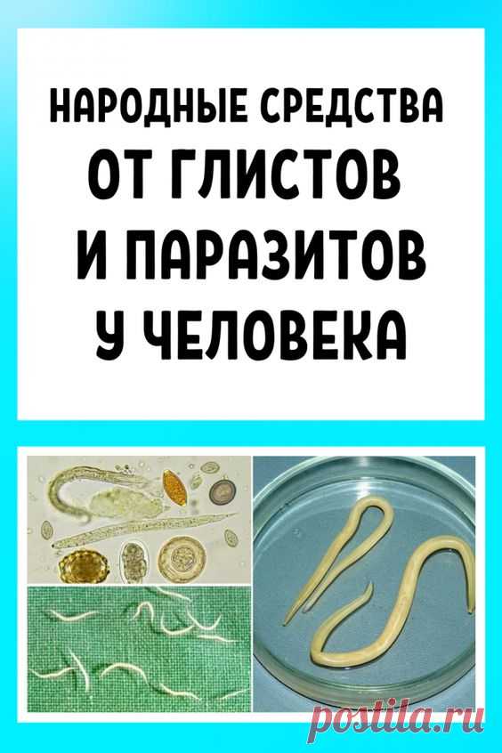 ТИБЕТСКИЙ СБОР
ОТ ПАРАЗИТОВ
ЗНАКОМЫ ЛИ ВАМ ЭТИ СИМПТОМЫ?
 Аллергия (высыпания, слезящиеся
глаза, насморк)
Частые простуды, ангина,
заложенность носа
Хроническая усталость (Вы быстро
устаете, чем бы ни занимались)
Частые головные боли,
запоры или понос
Боли в суставах и мышцах
Нервозность, нарушение
сна и аппетита
Темные круги, мешки под глазами