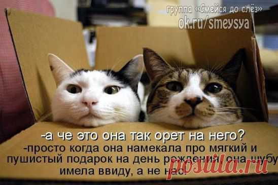 (30) Одноклассники