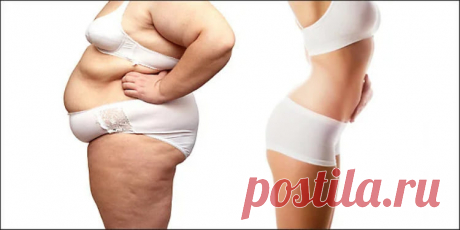 Методика 16/8: легкое и очень быстрое похудение — Домашние заботы