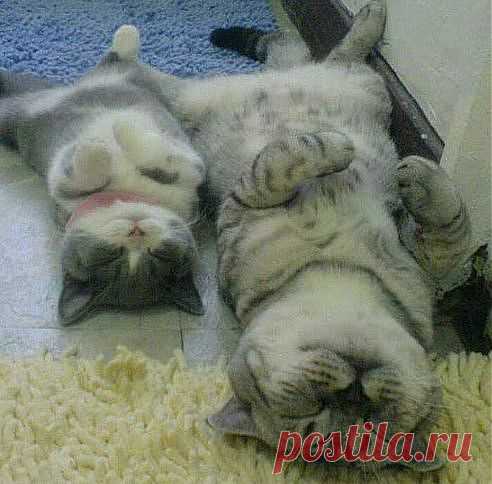 отдых!