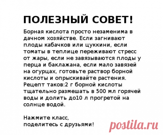 Новости