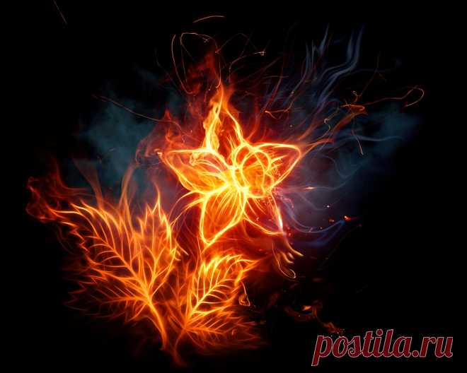 Have fun! Wallpaper: Fair flower Wallpaper of Fair flower for fans of Have fun!.