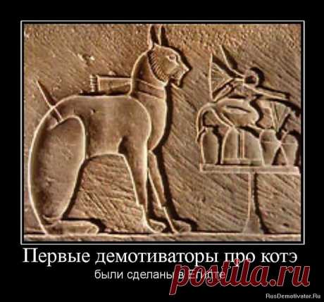 Карикатуры про сфинкса
