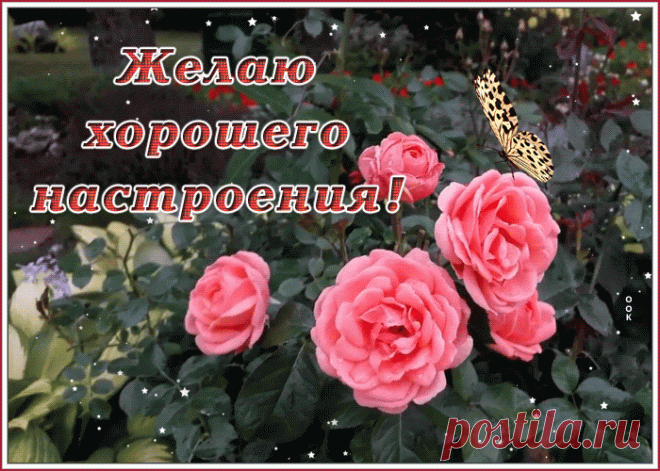 Картинка для хорошего настроения с цветами