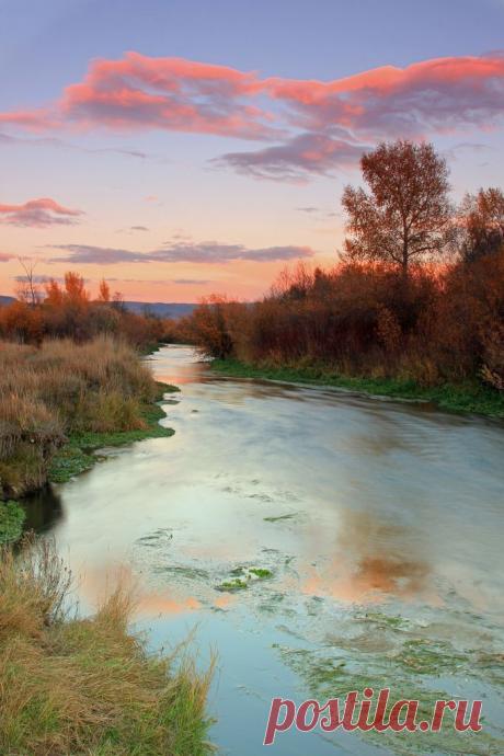 Найдено на сайте flickr.com.