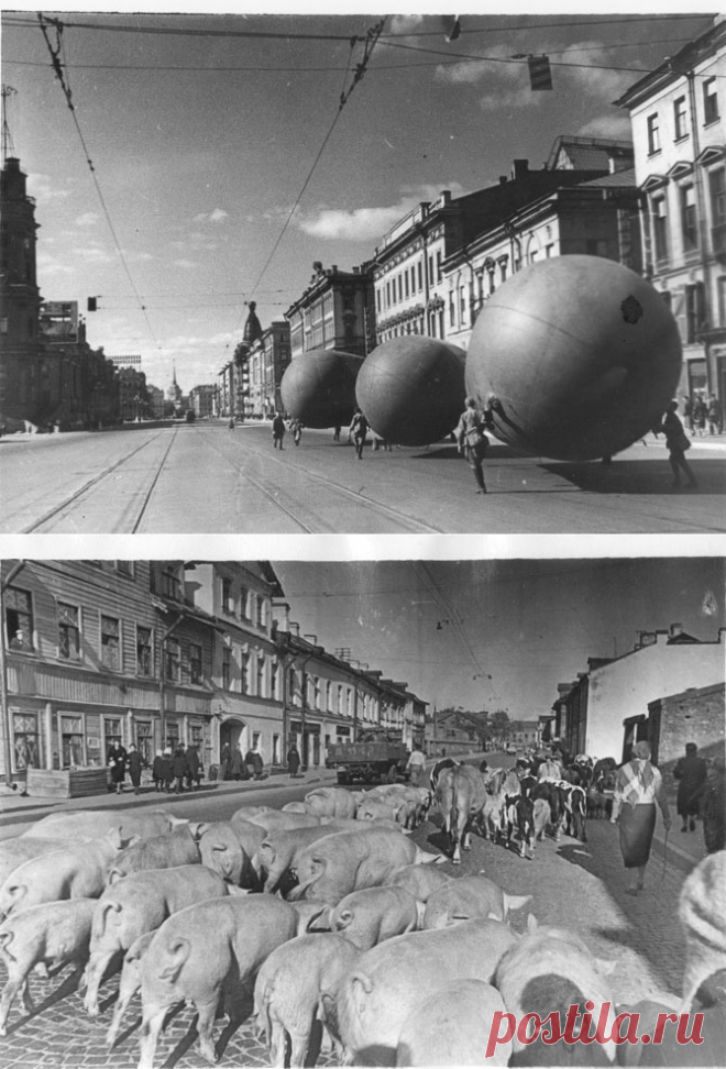 Блокадный Ленинград в фотографиях