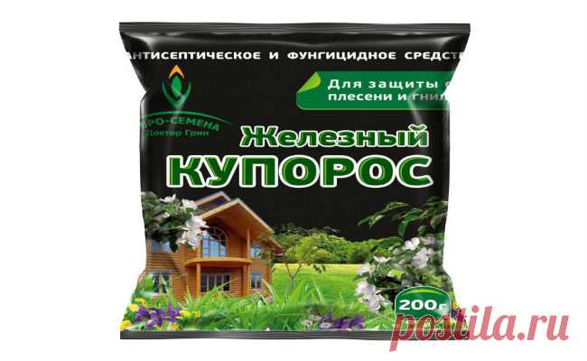 Обработка винограда железным купоросом, опрыскивание винограда