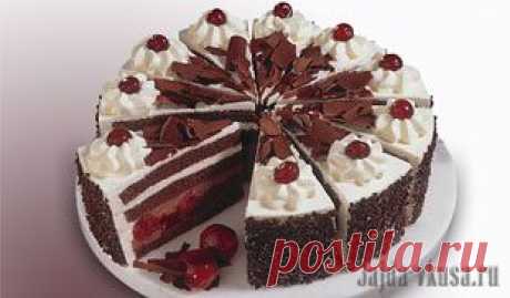 Жажда Вкуса. Главная