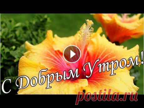 С ДОБРЫМ УТРОМ !...