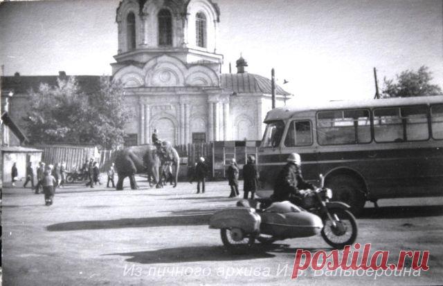 Виктор Буньков
64 года, Россия, г. Камышлов (Свердловская область)