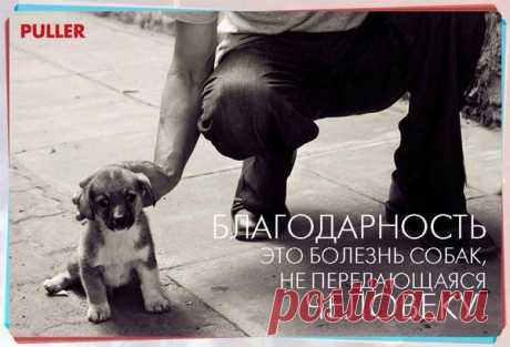 Фразы для антипристройства. Обсуждения - Блог. Run - Группы Мой Мир