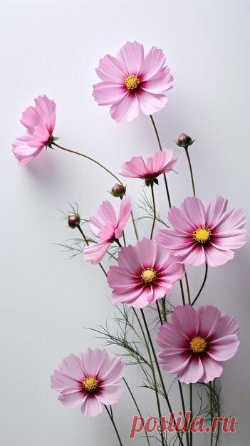 Пин на доске яРОМАШЕЧКИ