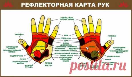 Рефлекторная карта рук