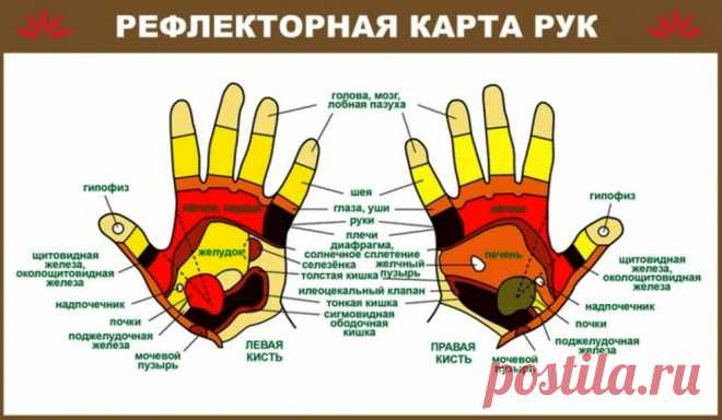 Рефлекторная карта рук