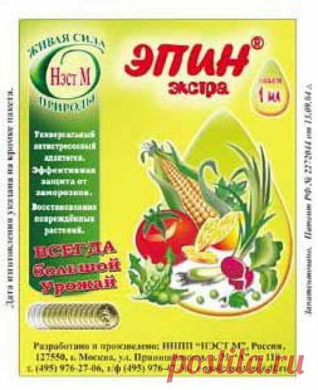 Блог сайта «Самоцветик»