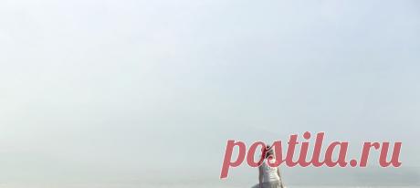 Порой мы понимаем, что семейный сценарий и модели поведения, принятые среди наших близких, нам не подходят. Нам становится тесно в этих узких рамках, и мы выходим на поиски тех, на кого хотели бы равняться. Как выбрать подходящий образец для подражания, чему мы можем научиться у других и почему не стоит бездумно копировать чужой образ? #самоанализ #непосценарию #психологияличности #психологияобщения