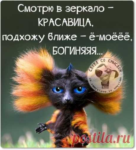 Самые меткие фразы