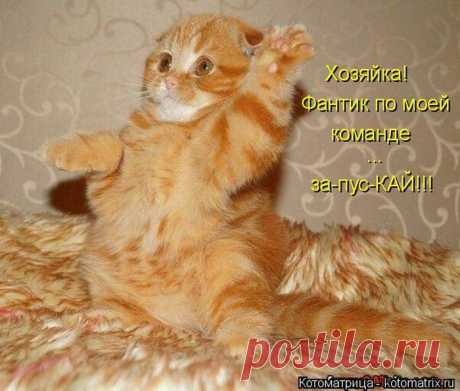 раз...два...три...ииии....