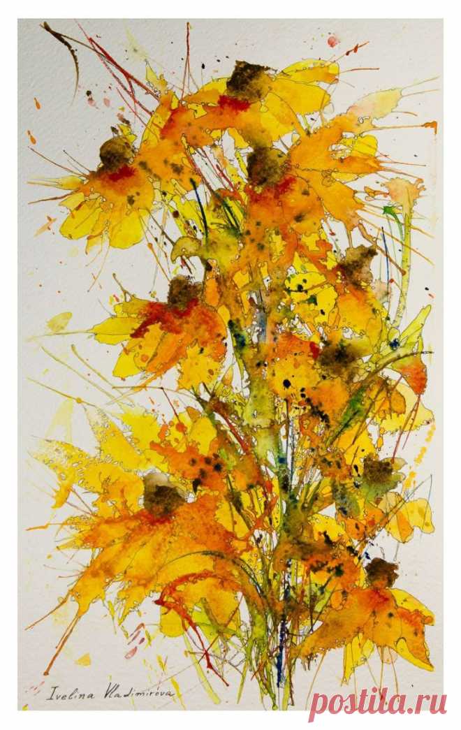 Ivelina Vladimirova - Rudbeckia Hirta | Watercolor Art